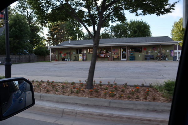 Merrill - June 2021 Photo (newer photo)